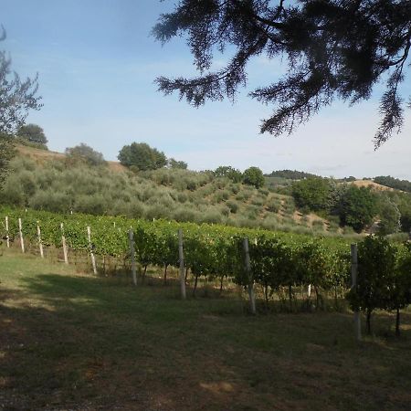 Podere Caldaruccio La Pineta Perugia Dış mekan fotoğraf