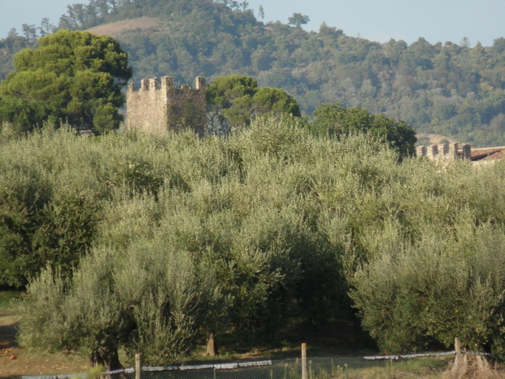 Podere Caldaruccio La Pineta Perugia Dış mekan fotoğraf