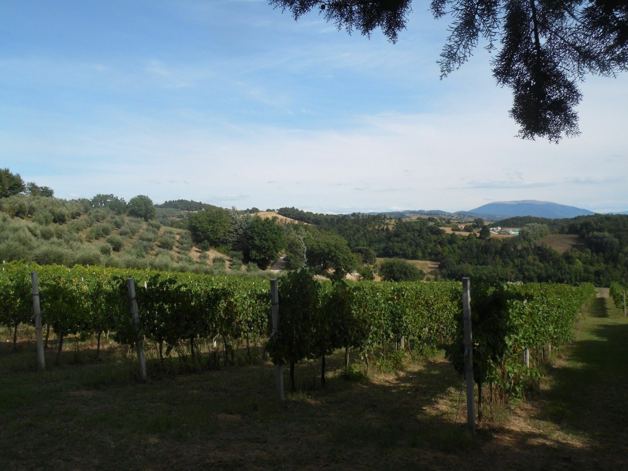 Podere Caldaruccio La Pineta Perugia Dış mekan fotoğraf